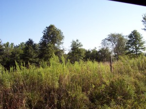 TRACT 3 HWY. FF