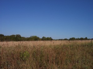 TRACT 5 AUDRAIN ROAD 957
