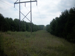 W CARR LANE