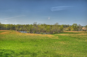 65 ACRES N HAGUE RD
