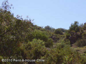 FRANQUICIA MASTER COLOMBIA Terreno Residencial en Venta en San Esteban en Los Andes C&oacute;digo: 10-24 No.6