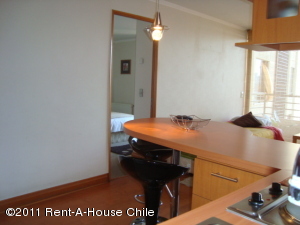 FRANQUICIA MASTER COLOMBIA Departamento en Venta en Recoleta en Santiago C&oacute;digo: 11-4 No.5