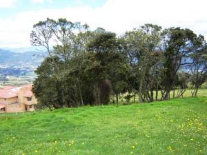 FRANQUICIA MASTER COLOMBIA Terreno Residencial en Venta en Chia en Chia Código: 09-408 No.4