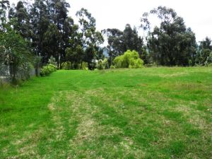 MASTER INTERNATIONAL Terreno Residencial en Venta en Cajica en Cajica Código: 11-204 No.1