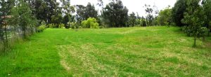 MASTER INTERNATIONAL Terreno Residencial en Venta en Cajica en Cajica Código: 11-204 No.2