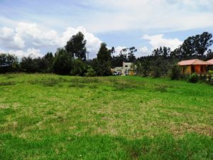 MASTER INTERNATIONAL Terreno Residencial en Venta en Cajica en Cajica Código: 11-204 No.3