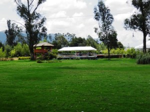 MASTER INTERNATIONAL Terreno Residencial en Venta en Cajica en Cajica Código: 11-204 No.7