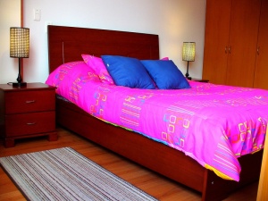 FRANQUICIA MASTER Apartamento en Arriendo en Centro en Bogota C&oacute;digo: 11-303 No.1
