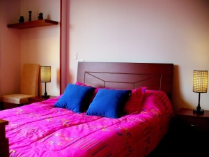 FRANQUICIA MASTER Apartamento en Arriendo en Centro en Bogota C&oacute;digo: 11-303 No.2