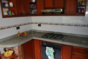 FRANQUICIA MASTER COLOMBIA Casa en Venta en Vereda Salitre Alto en Tabio C&oacute;digo: 11-441 No.6