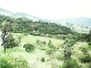 MASTER INTERNATIONAL Terreno Residencial en Venta en La Calera en Bogota C&oacute;digo: 11-483 No.0