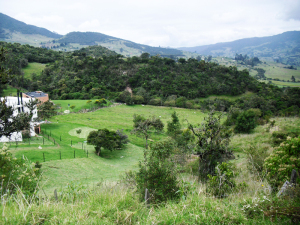 MASTER INTERNATIONAL Terreno Residencial en Venta en La Calera en Bogota C&oacute;digo: 11-483 No.1