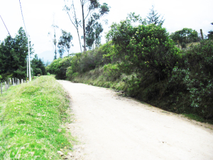 MASTER INTERNATIONAL Terreno Residencial en Venta en La Calera en Bogota C&oacute;digo: 11-483 No.3