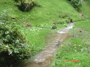 MASTER INTERNATIONAL Terreno Residencial en Venta en Rosales en Bogota Código: 11-527 No.3