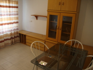 Piso / Alquiler / Madrid Capital / Salamanca / FLEXMLS-11-9