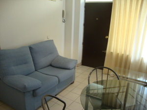 Piso / Alquiler / Madrid Capital / Salamanca / FLEXMLS-11-11