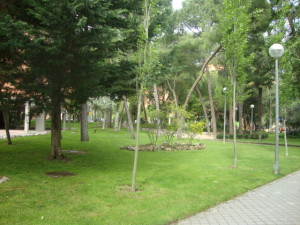 Piso / Venta / Madrid Capital / Barajas / FLEXMLS-11-55