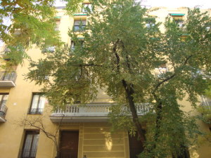 FRANQUICIA MASTER Piso en Venta en Salamanca en Madrid Capital C&oacute;digo: 11-69 No.8