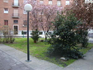 FRANQUICIA MASTER Piso en Alquiler en Salamanca en Madrid Capital C&oacute;digo: 12-8 No.11