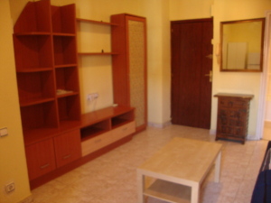 Piso / Alquiler / Madrid Capital / Retiro / FLEXMLS-12-9