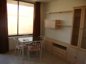 Piso / Alquiler / Madrid Capital / Salamanca / FLEXMLS-12-15