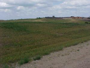 Lot View