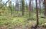 Surrounded by Nature's Presence Surrounded by Nature's Presence