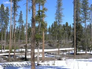 Winter Park Real Estate