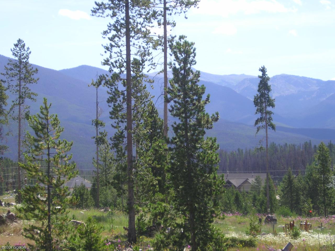 East Facing Views