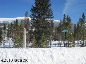 Winter Park Real Estate