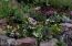 Prolific Gardens of Color Prolific Gardens of Color