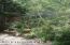 More Lush Greenery More Lush Greenery