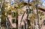 A Plethora of Aspens Embrace You! A Plethora of Aspens Embrace You!