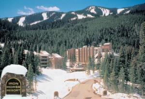 Winter Park Real Estate