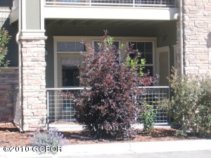 Winter Park Real Estate