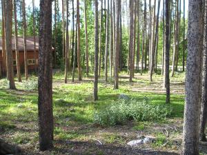 Grand County Colorado Real Estate