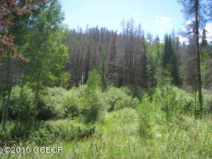 Colorado Real Estate