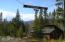 Nestled in the Trees w/ Mountain Vistas Nestled in the Trees w/ Mountain Vistas