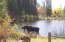 Resident Columbine Lake Moose Resident Columbine Lake Moose