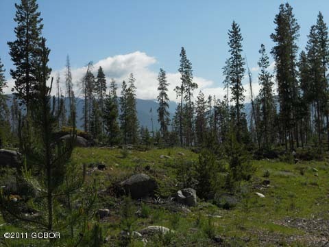 Mountain Vistas