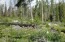 Wooded