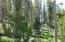 Wooded