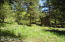 Tons of Wild Flowers grace the Yard! Tons of Wild Flowers grace the Yard!
