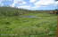 Abundant Wildlife Viewing! Abundant Wildlife Viewing!