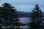 A River of Moonlight