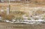 Large lot