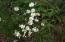 Sunny daisies to brighten your day Sunny daisies to brighten your day