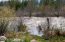 The Famous Colorado River! The Famous Colorado River!