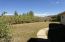 Front Yard and View