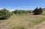 Wonderful Backyard